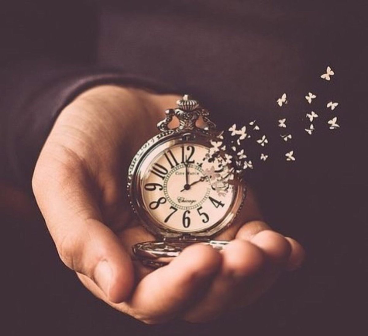 Как быстро летит время