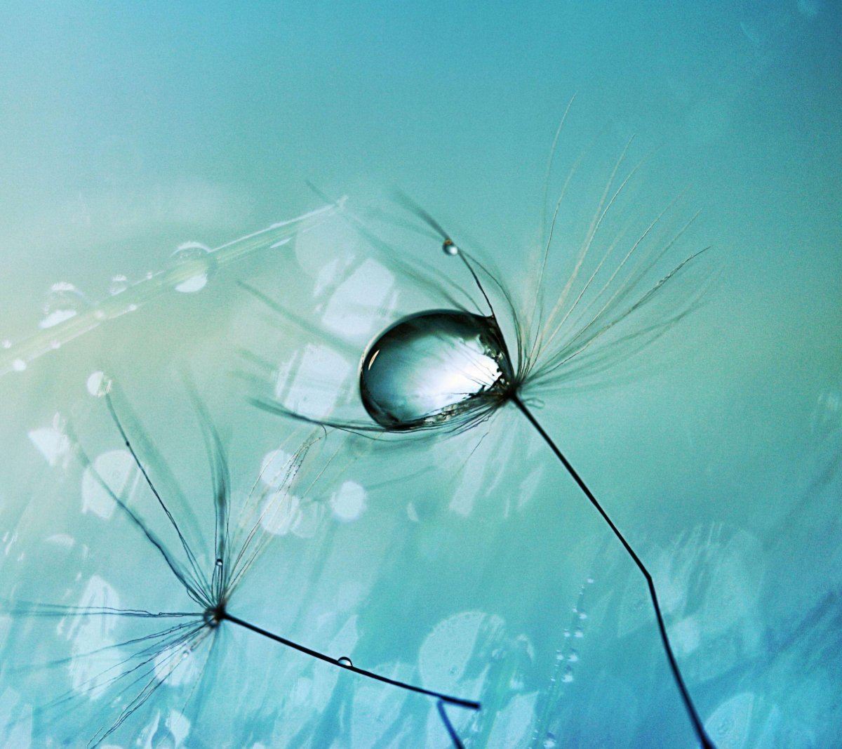 Обои на айфон природа