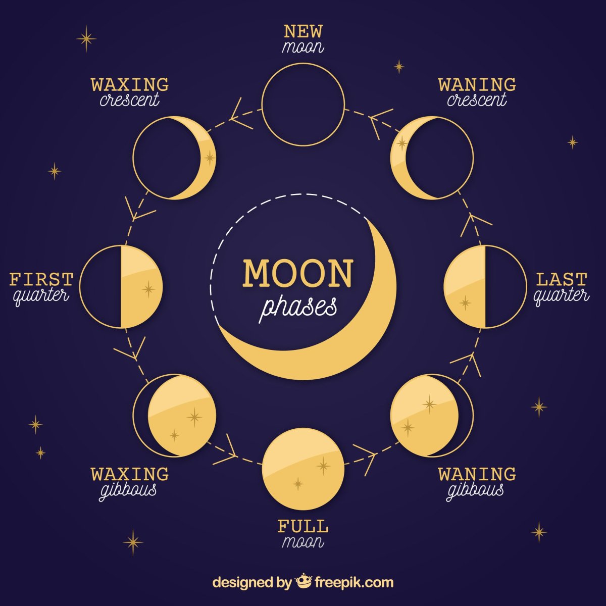 Фазы Луны phases of the Moon