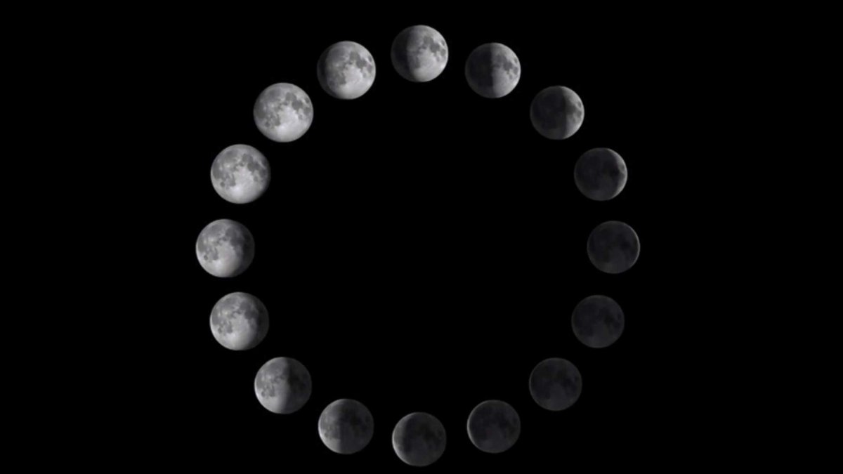 Фазы Луны круг