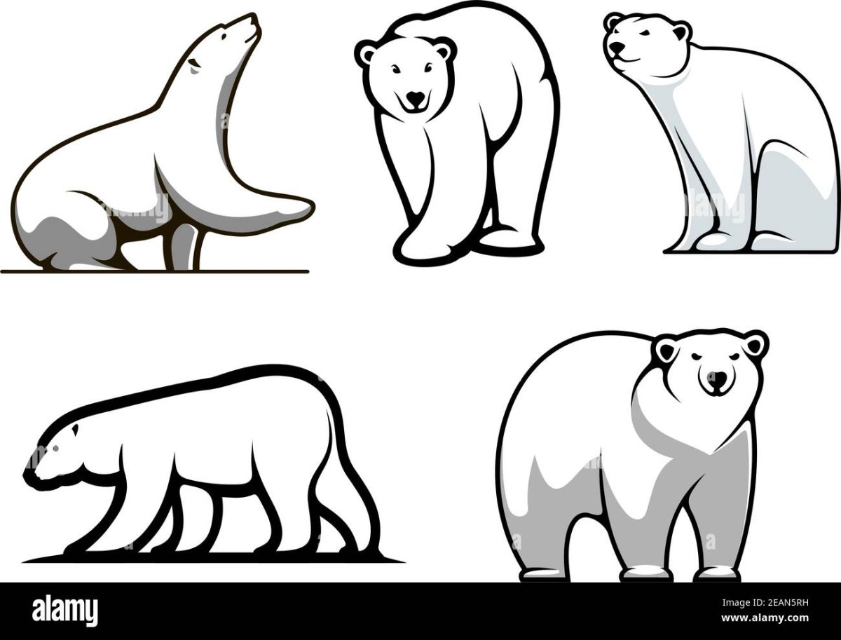 Белый медведь мультяшная на белом фоне