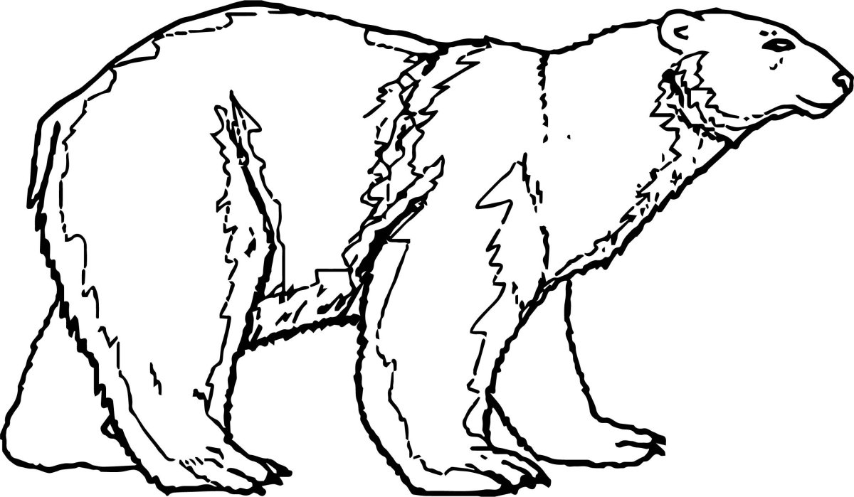 Мишка трафарет