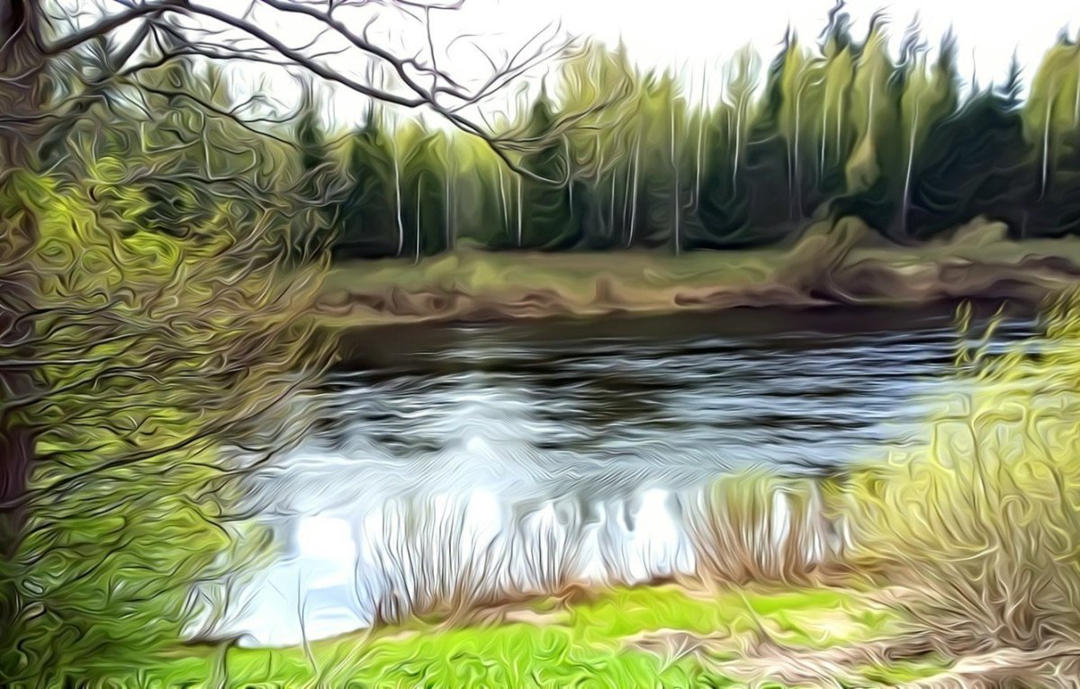 Тропинка в лесу для детей