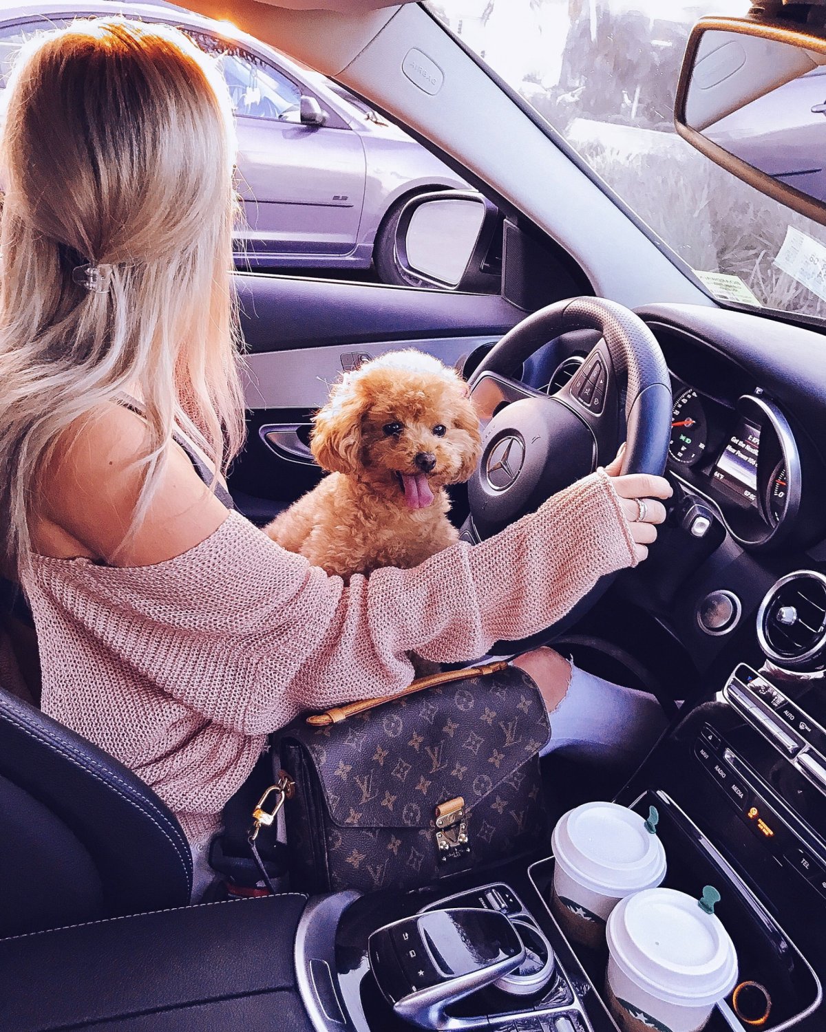 Собачка ангел