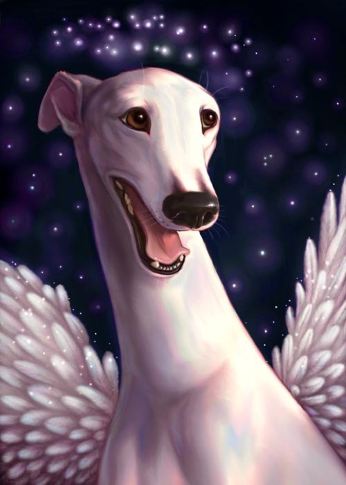 Собака ангел улыбка арт
