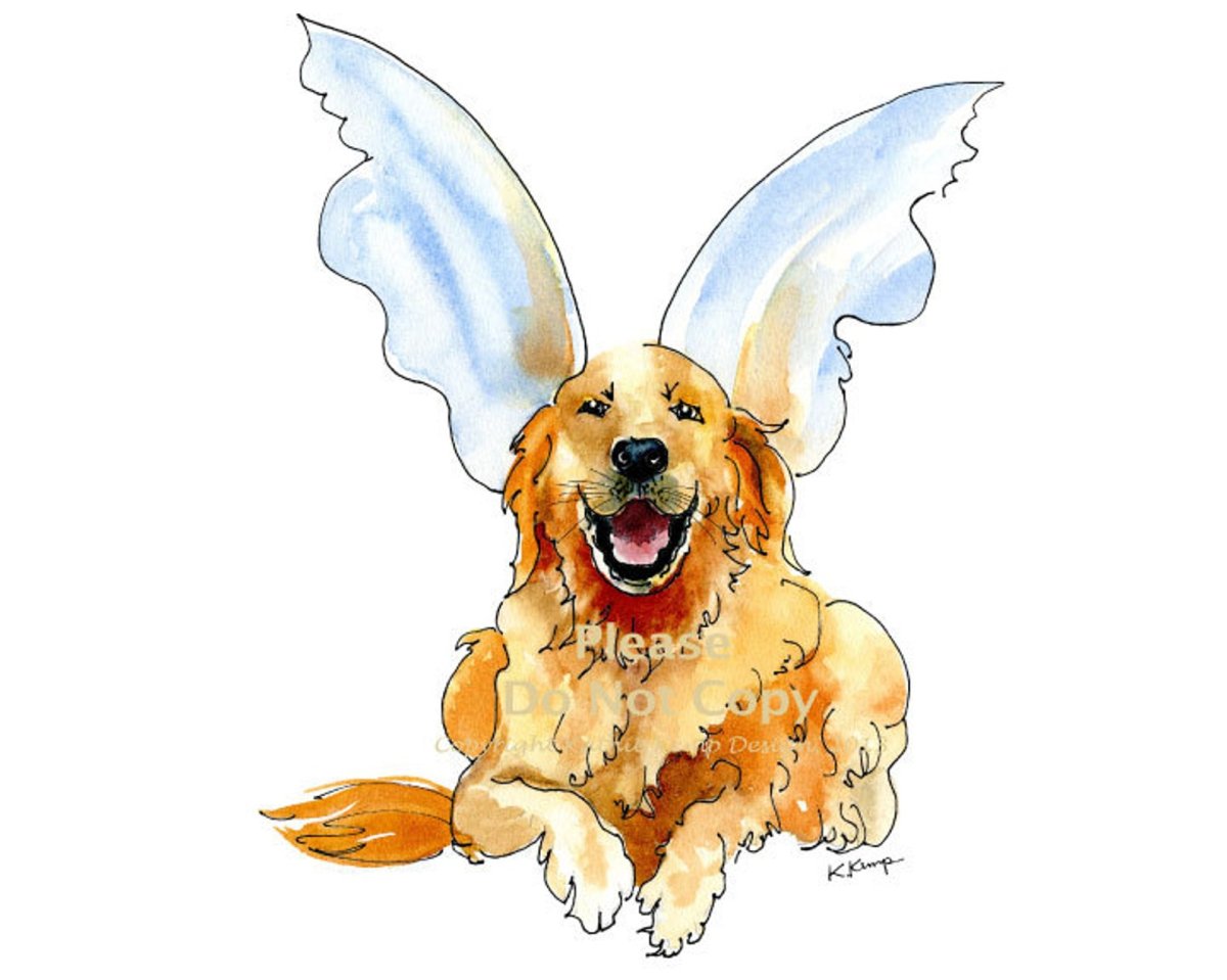 Щенок с крыльями