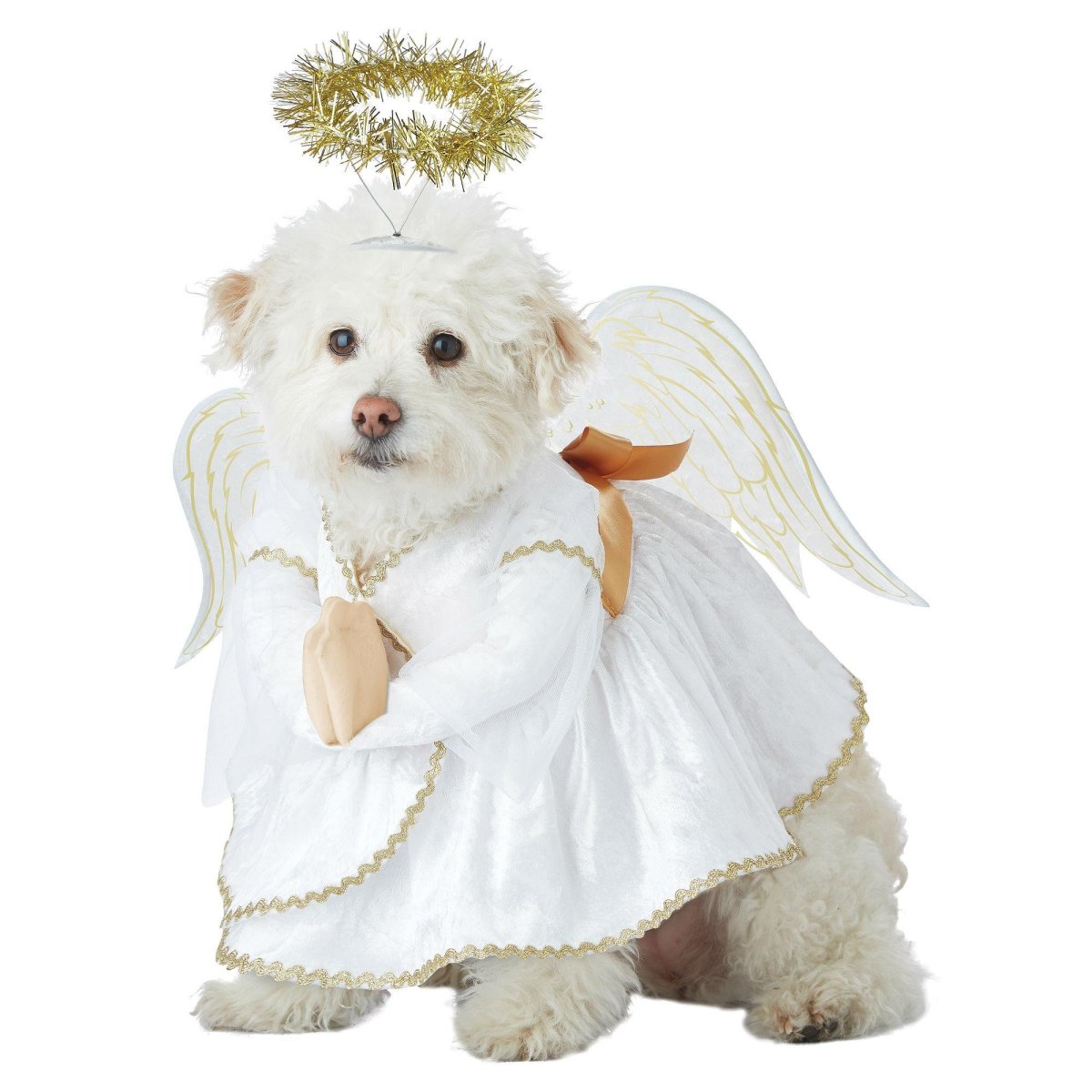 Щенок ангел