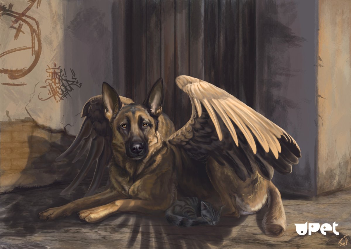 Овчарка на радуге Ангелок