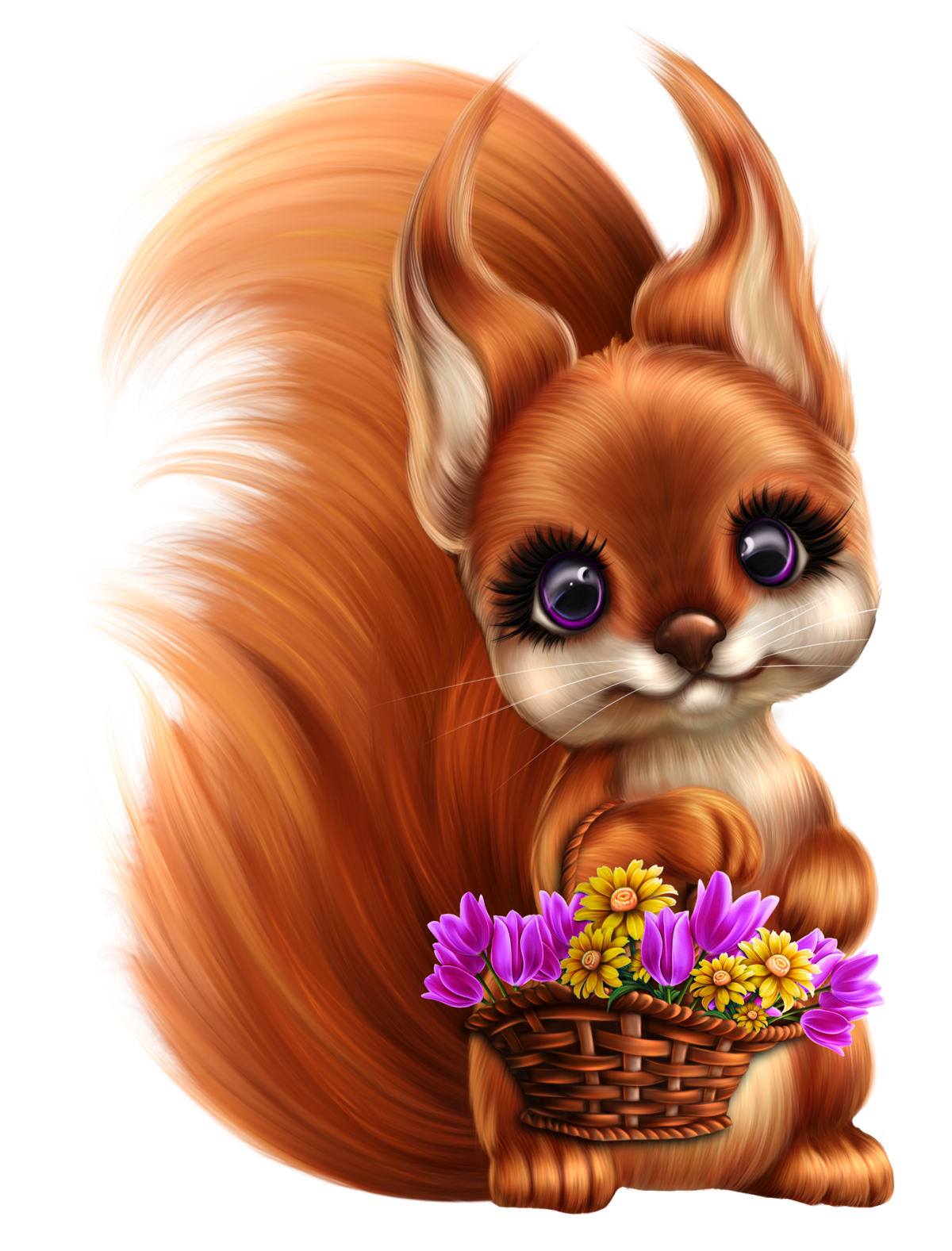 Белочка на прозрачном фоне