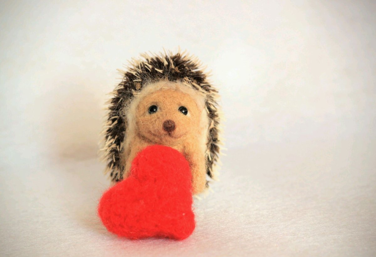 Ёжик и сердечко