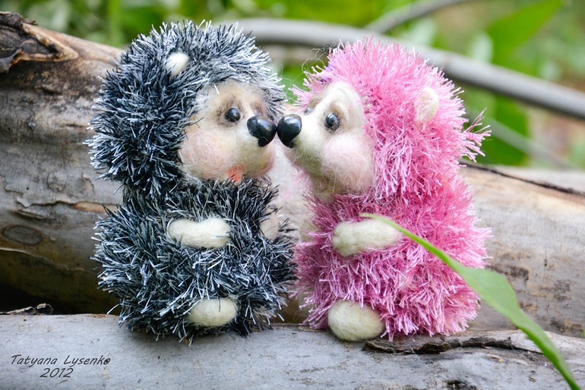 День объятий ежики