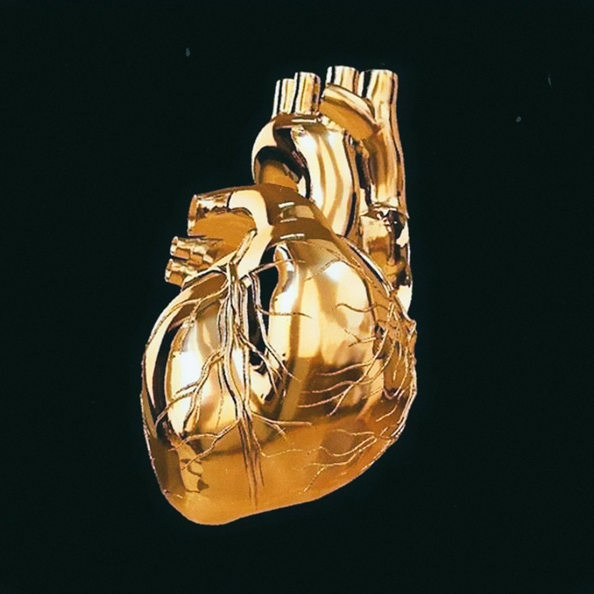 Эстетика золота и черного