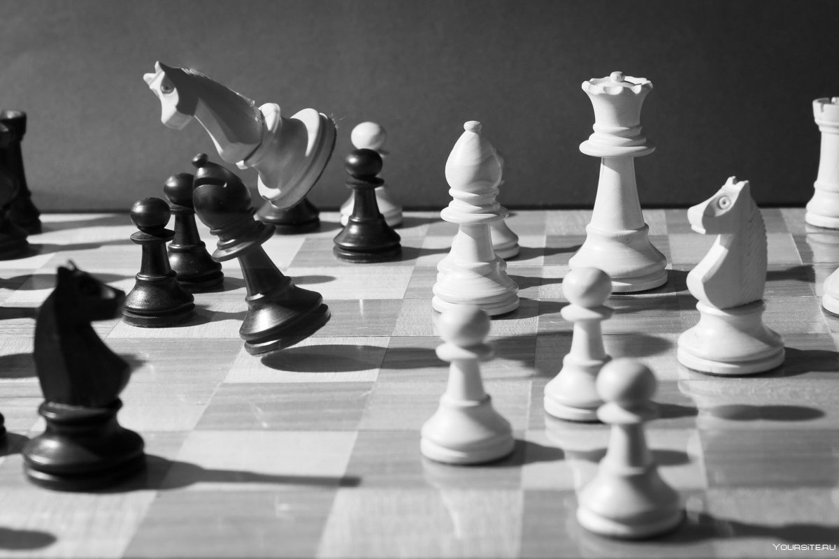 Шахматные баталии