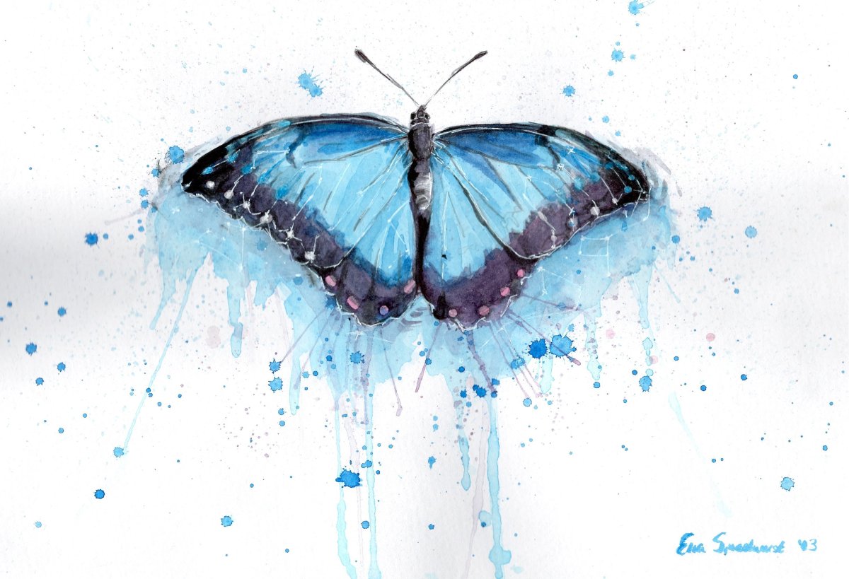 Акварель "бабочка"