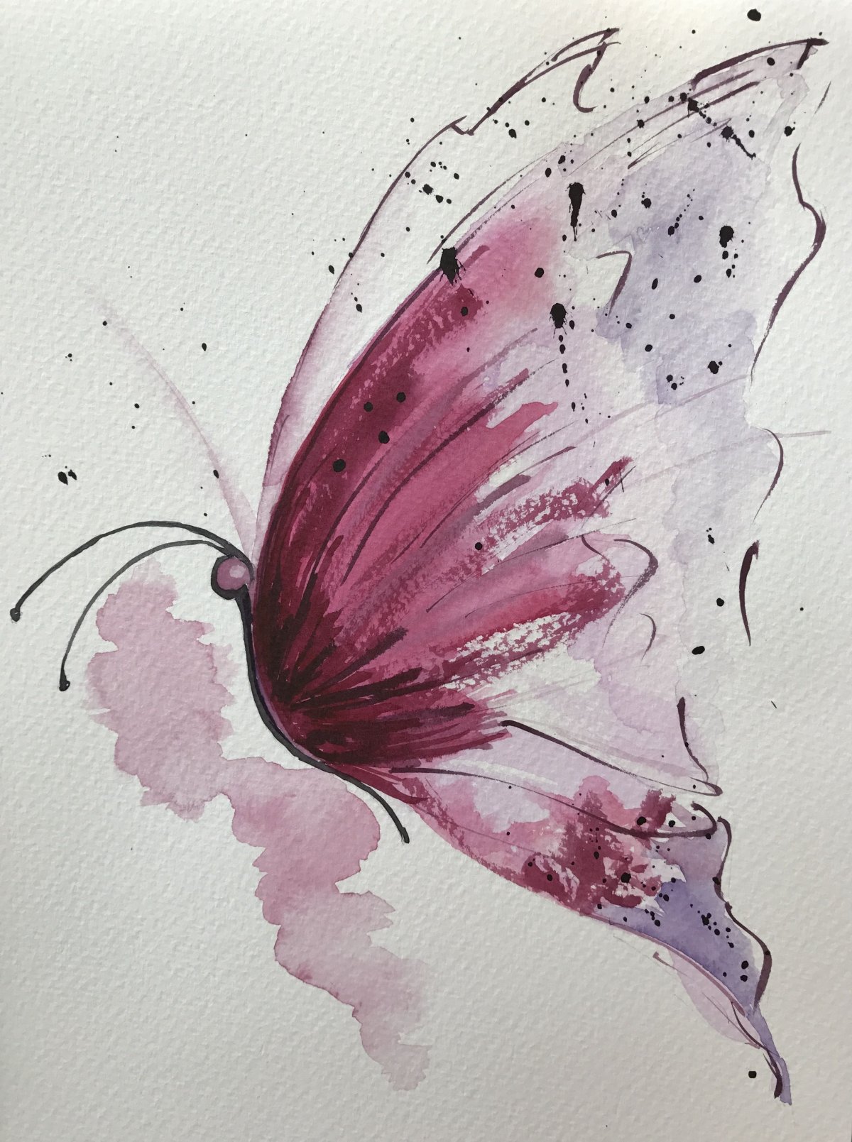Акварель "бабочка"