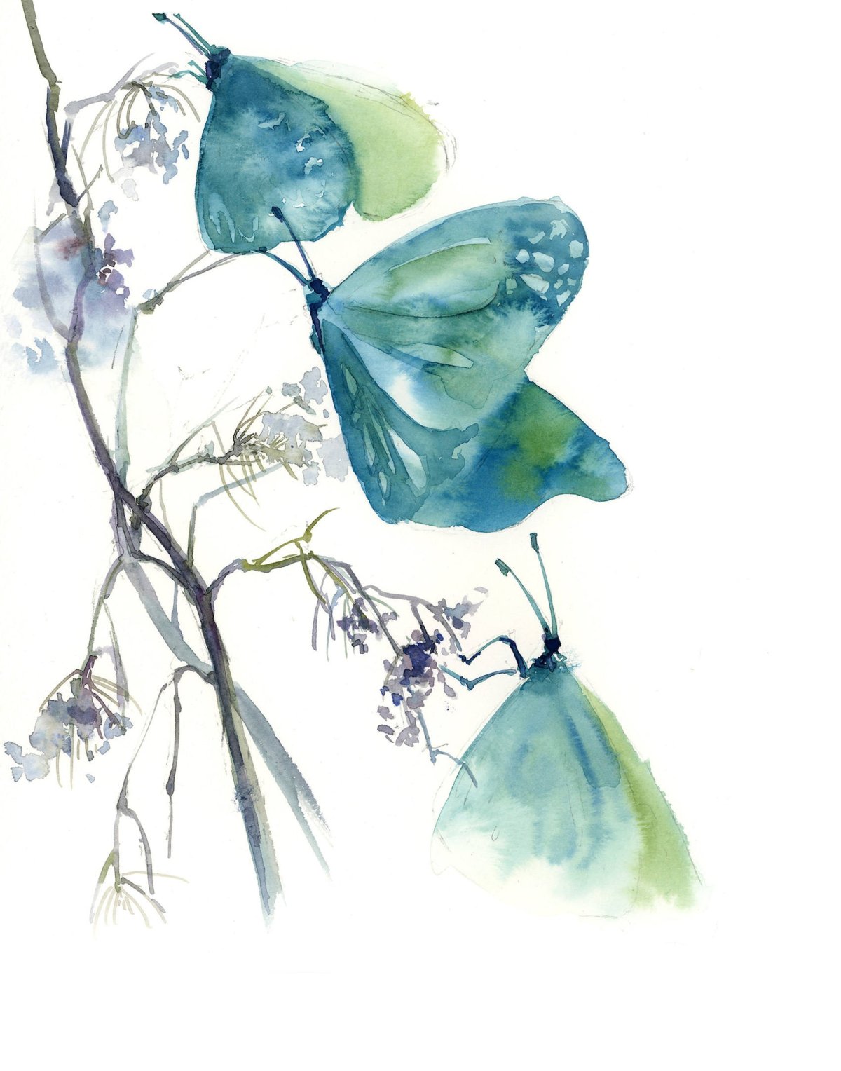 Акварельные бабочки Графика