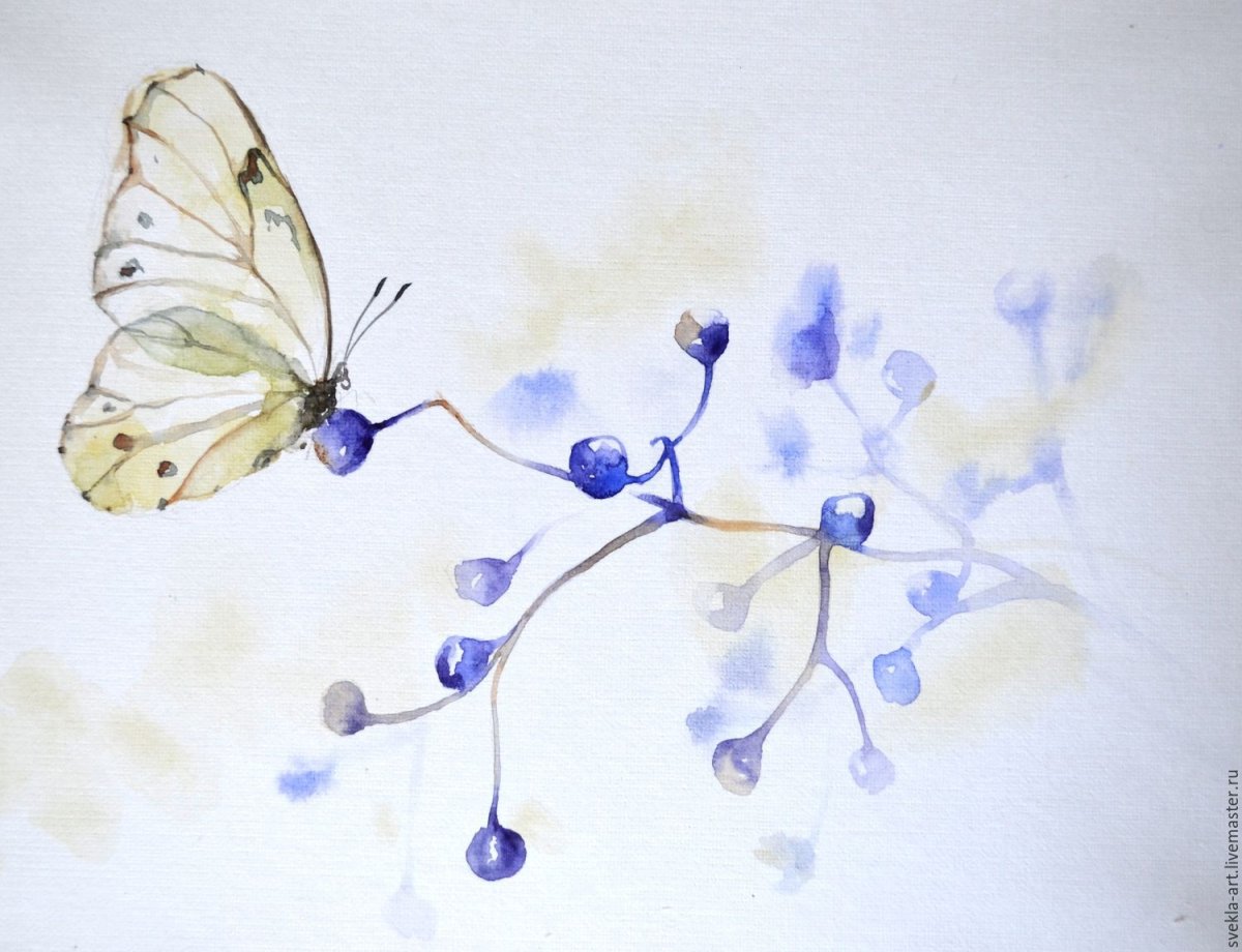 Красивые бабочки акварелью