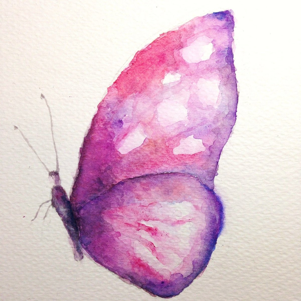 Акварельные бабочки фиолетовые