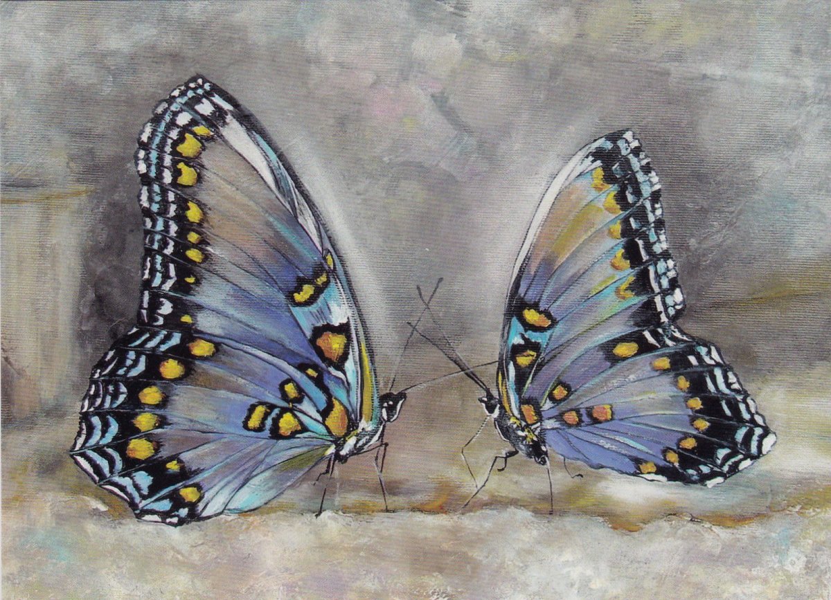 Картина бабочки