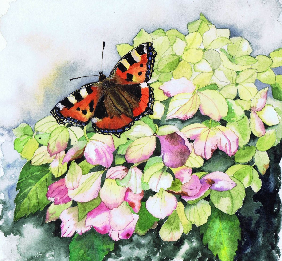 Бабочка на цветке акварель