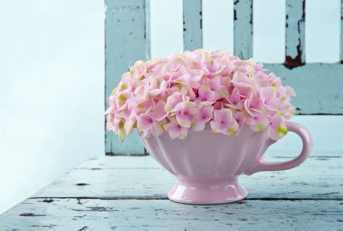 Нежно розовые горшки с цветами