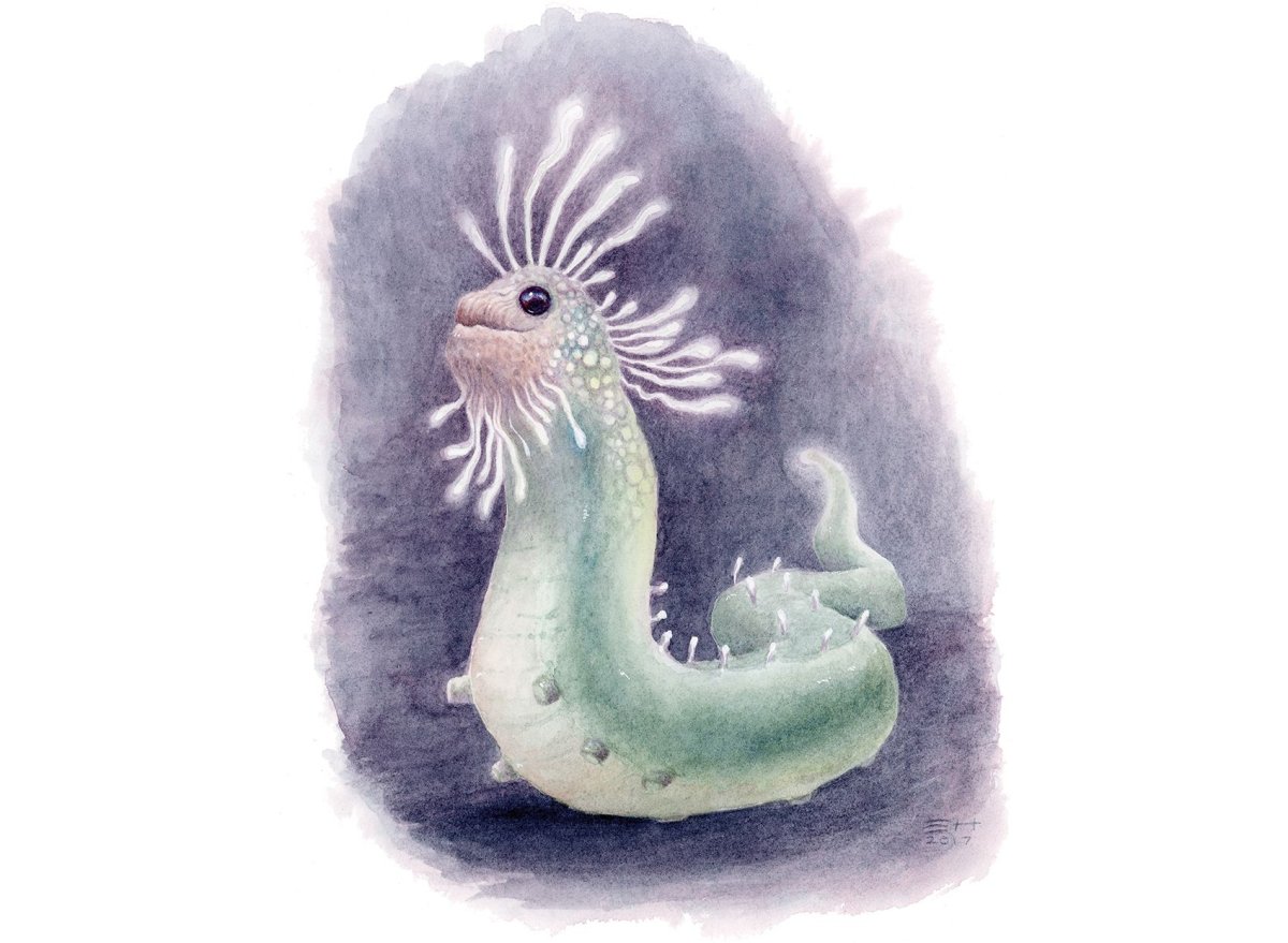 Фантастическое Морское животное карандашом