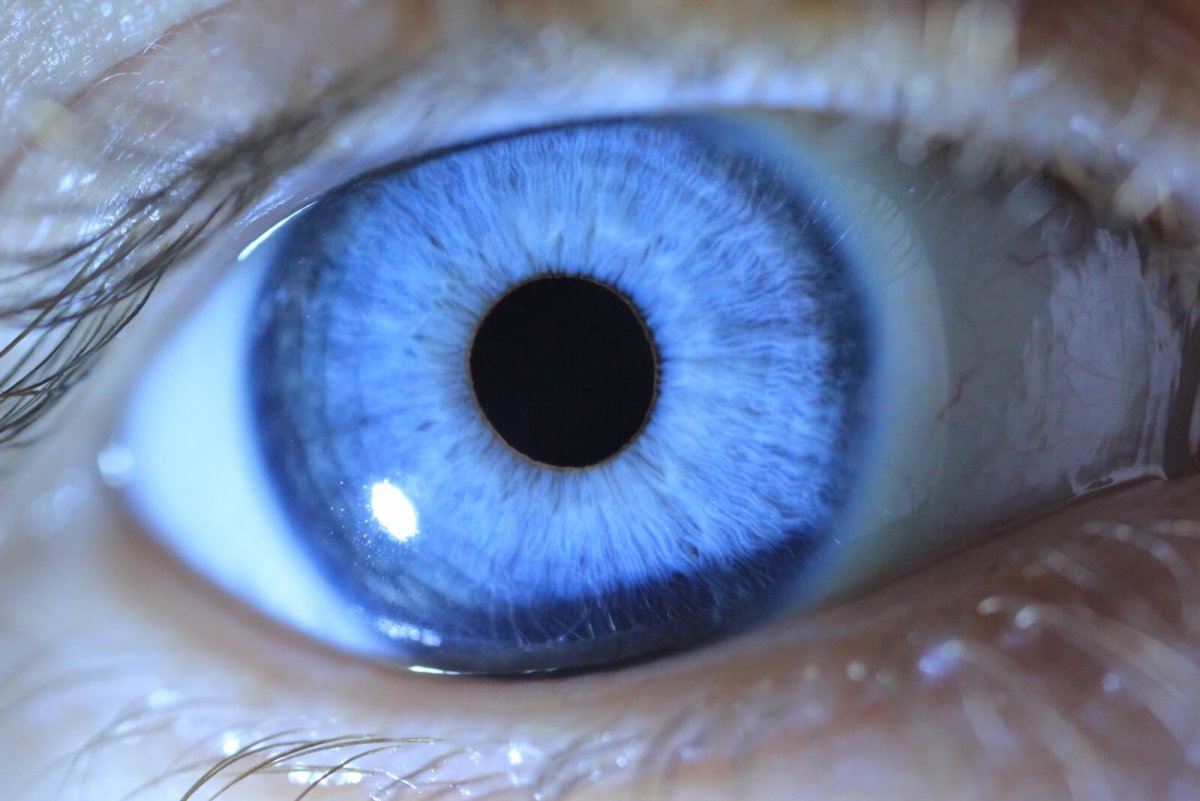 Синий цвет глаз