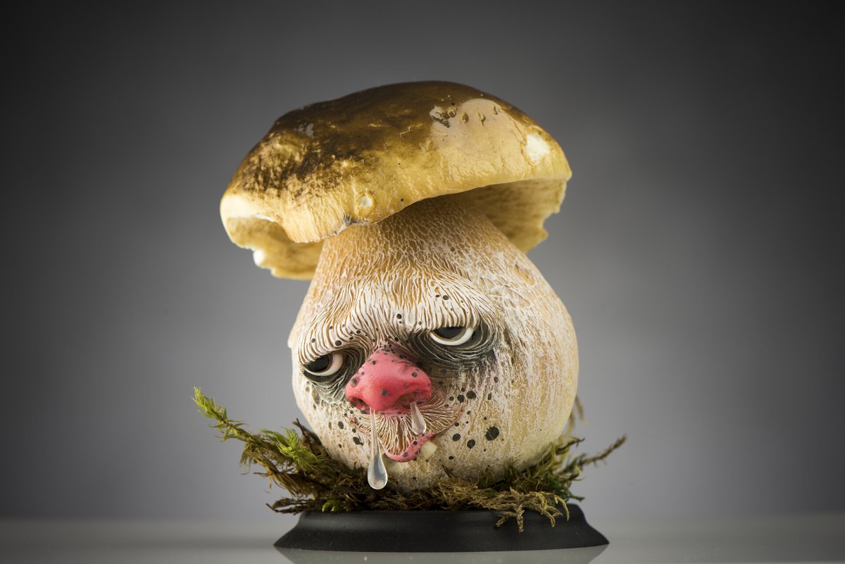 Смешные грибы