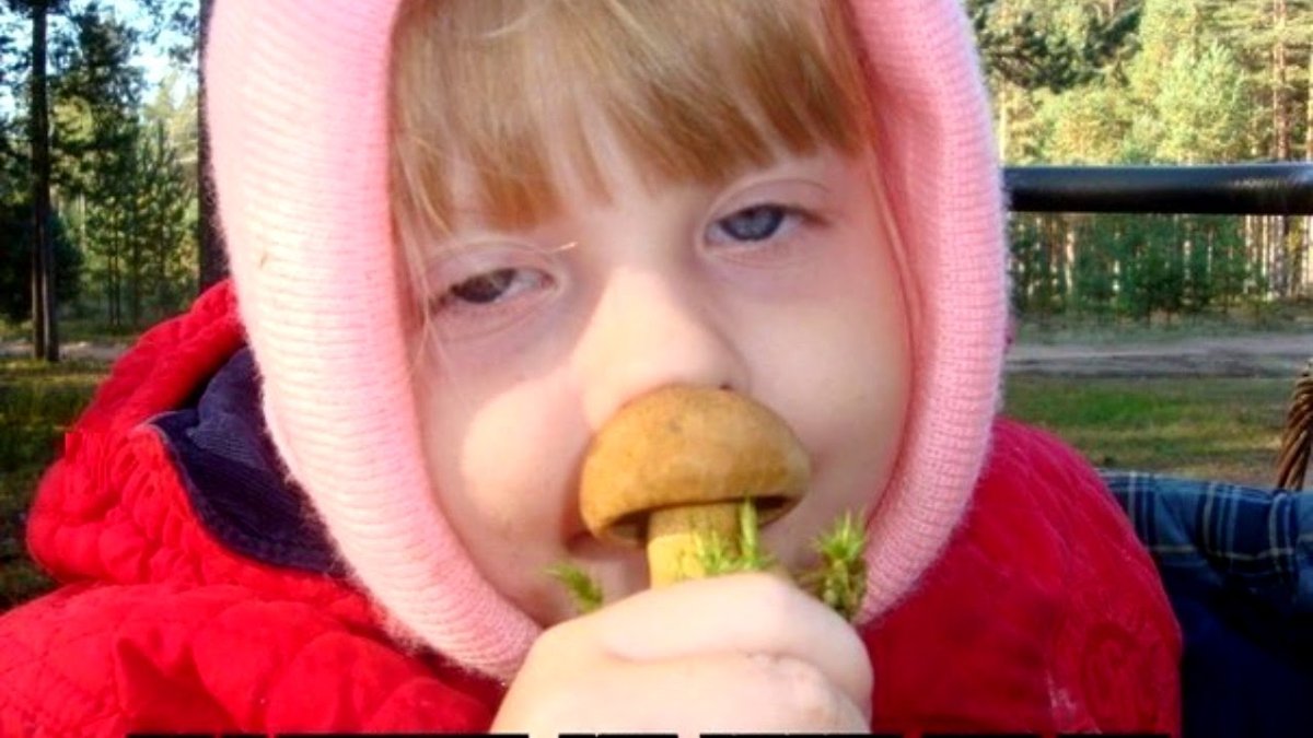 Мемы про грибы