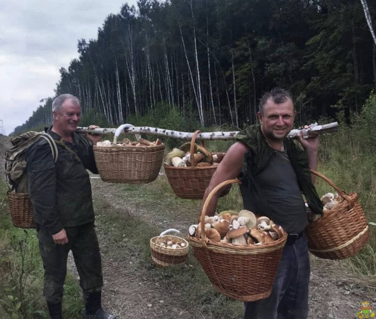 Мужик с грибом