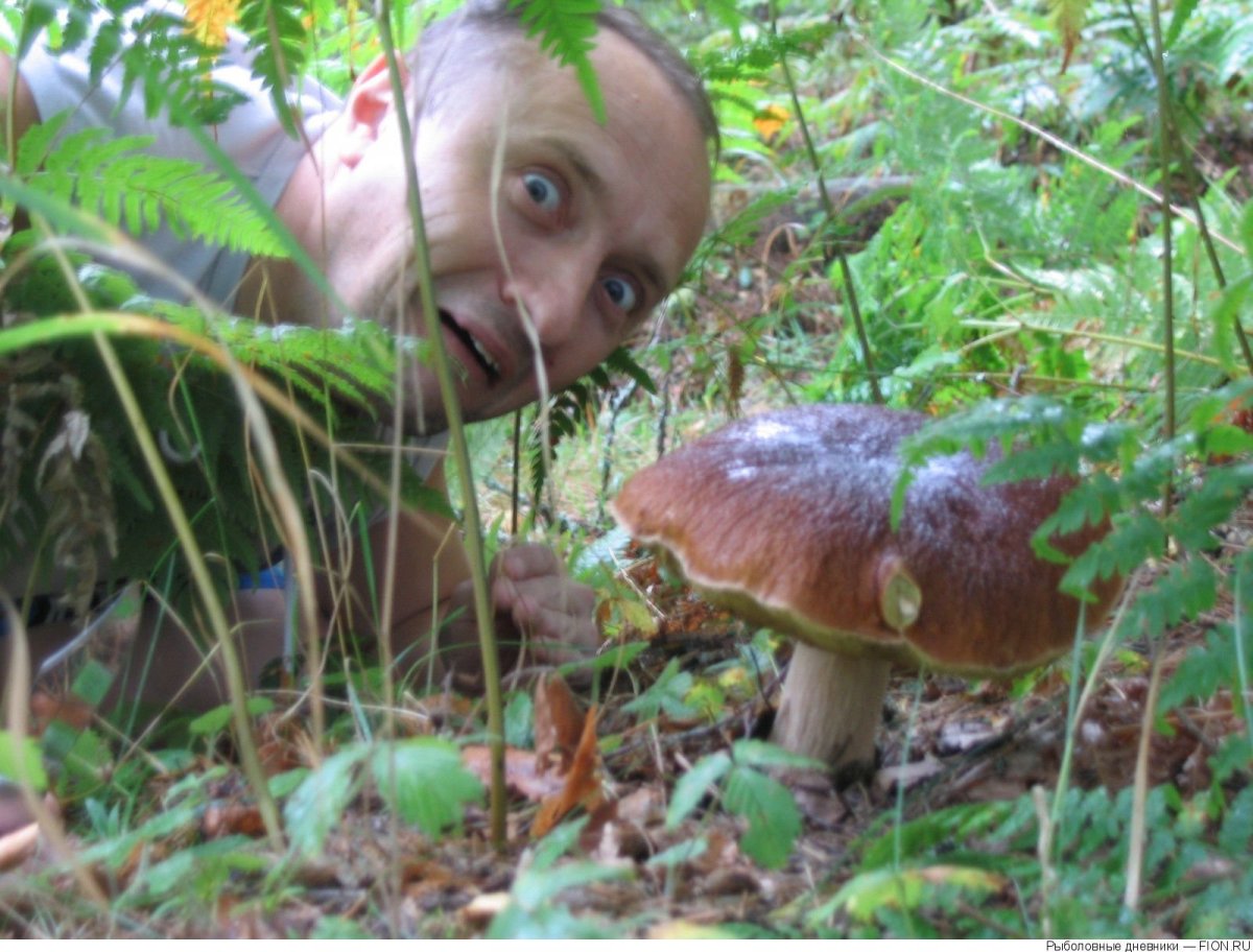 Смешной грибник