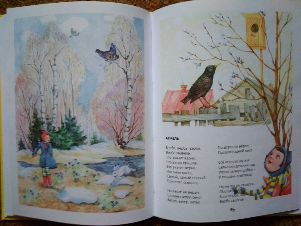 Курундаков подснежники