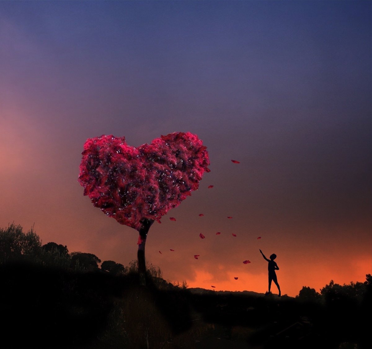 Сердце из дерева