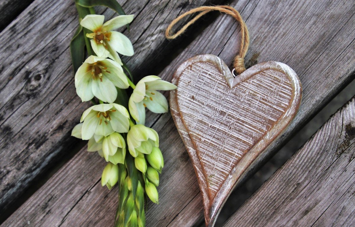 Сердце на фоне дерева