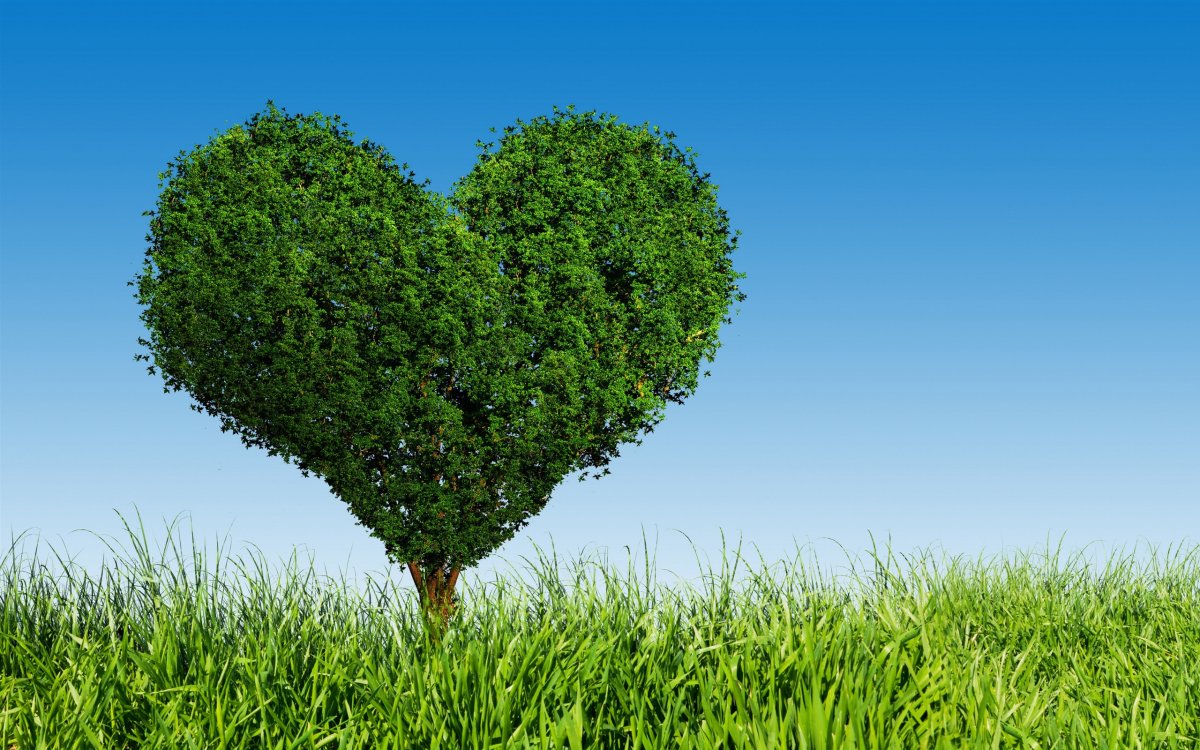 Дерево сердце