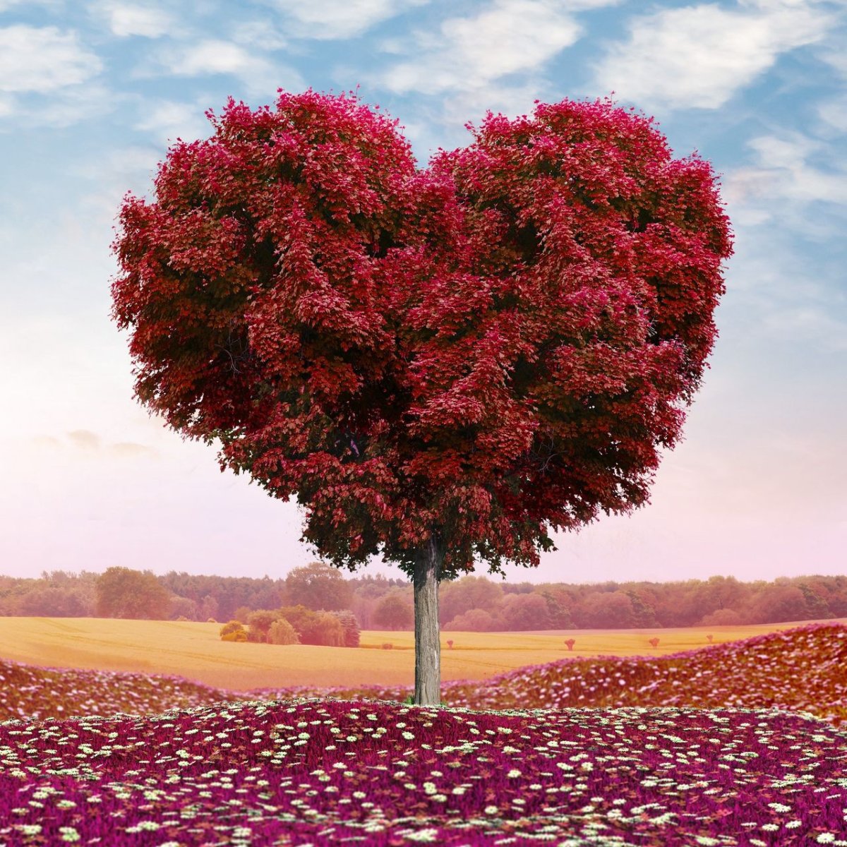 Любовное дерево