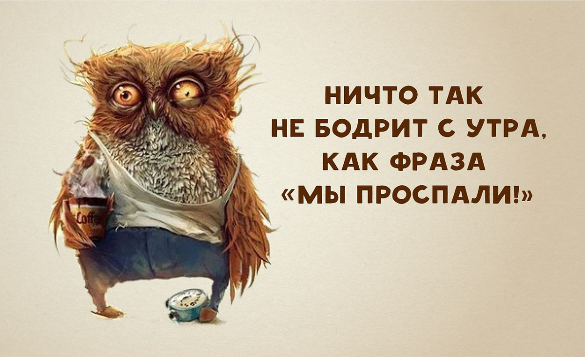 Дежурный прикол