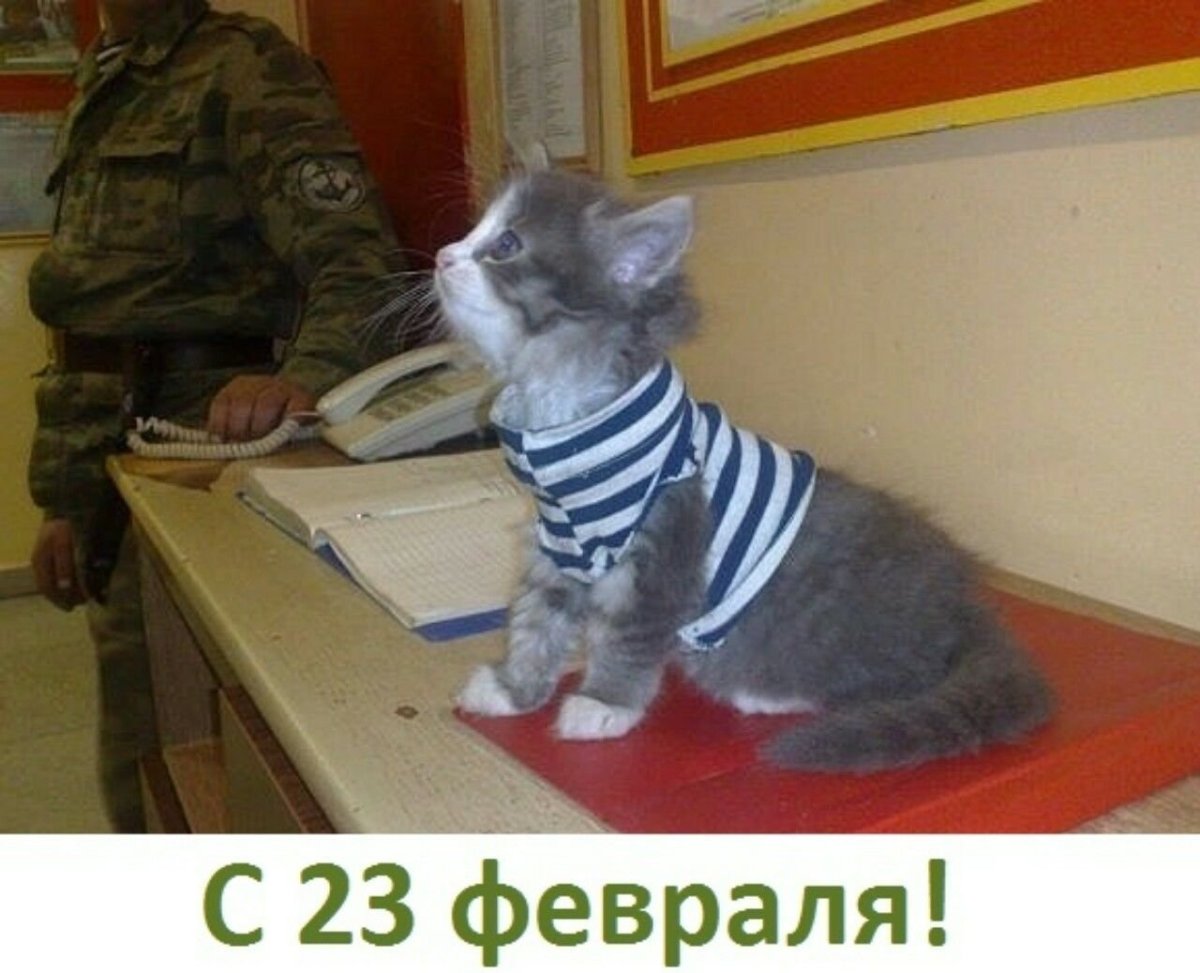 Навальный дневальный