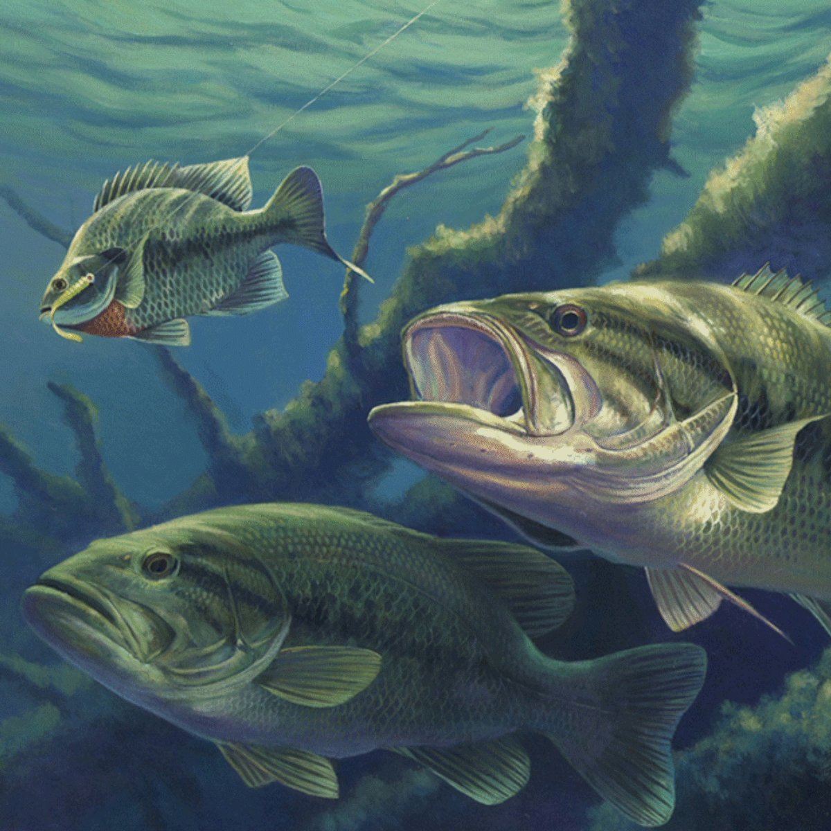 Наклейка на рыбалке