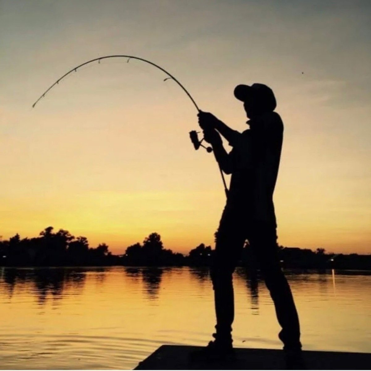 Фотообои рыбалка