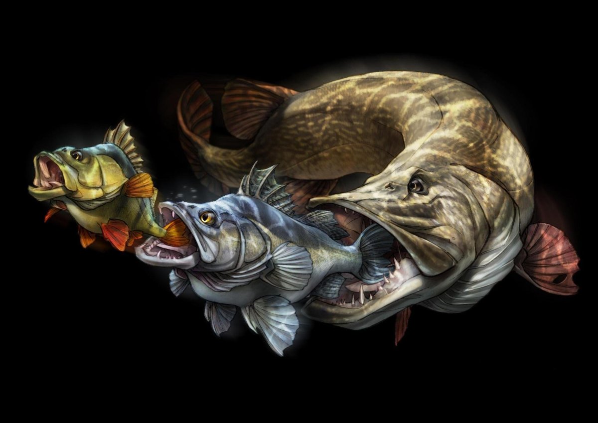 Девушка рыбачка