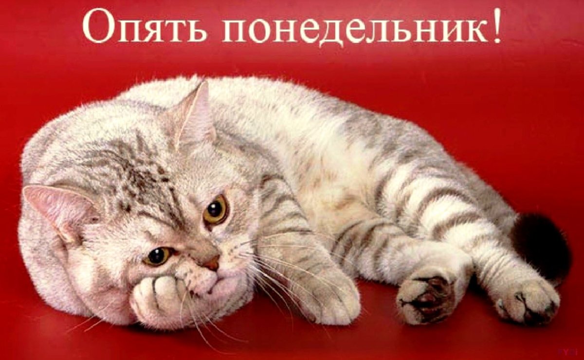 И снова понедельник