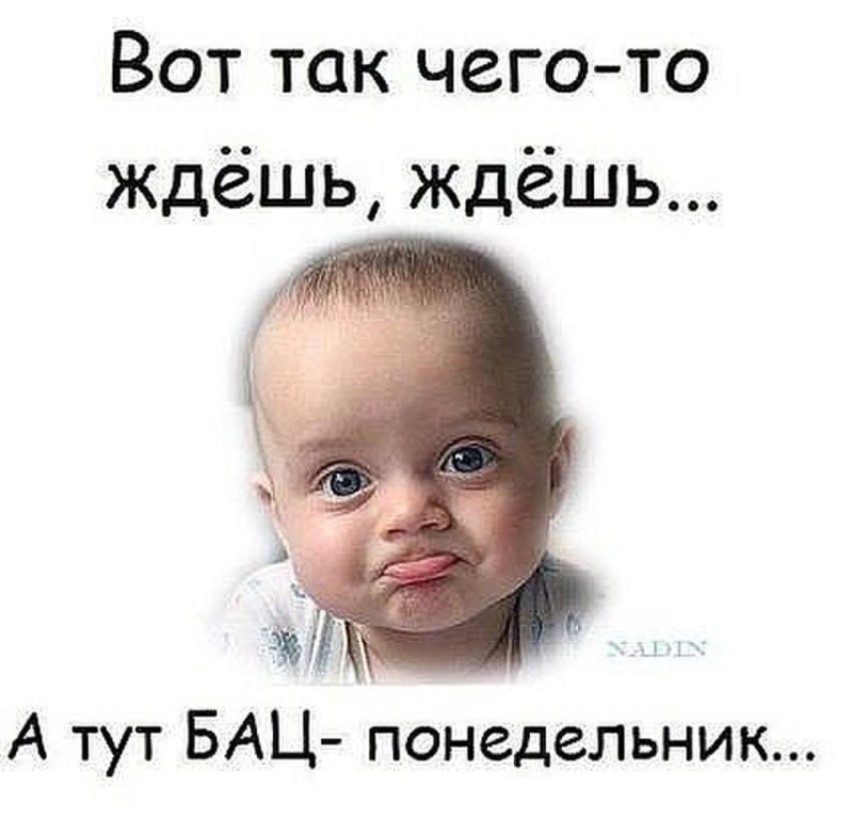 Открытки с добрым утром понедельника