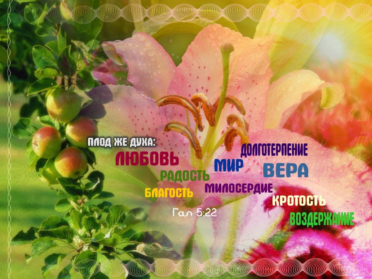 Иконы для благословения