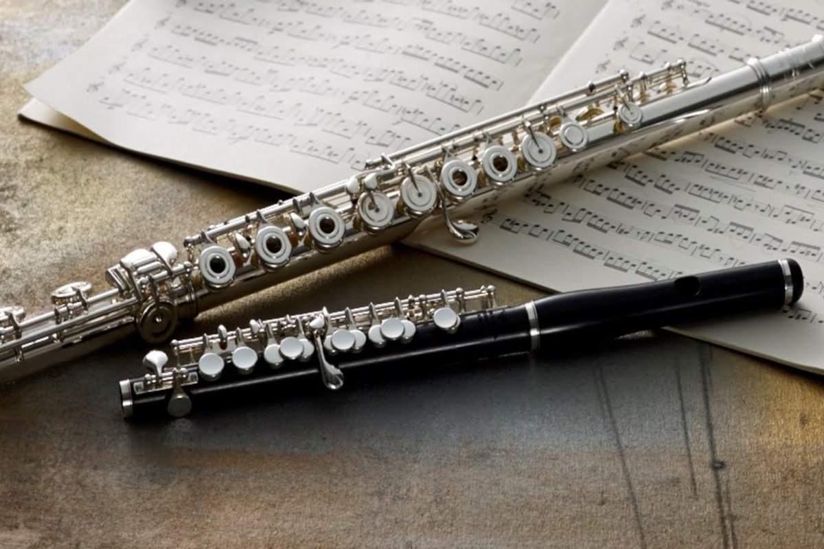 Флейта Пикколо музыкант