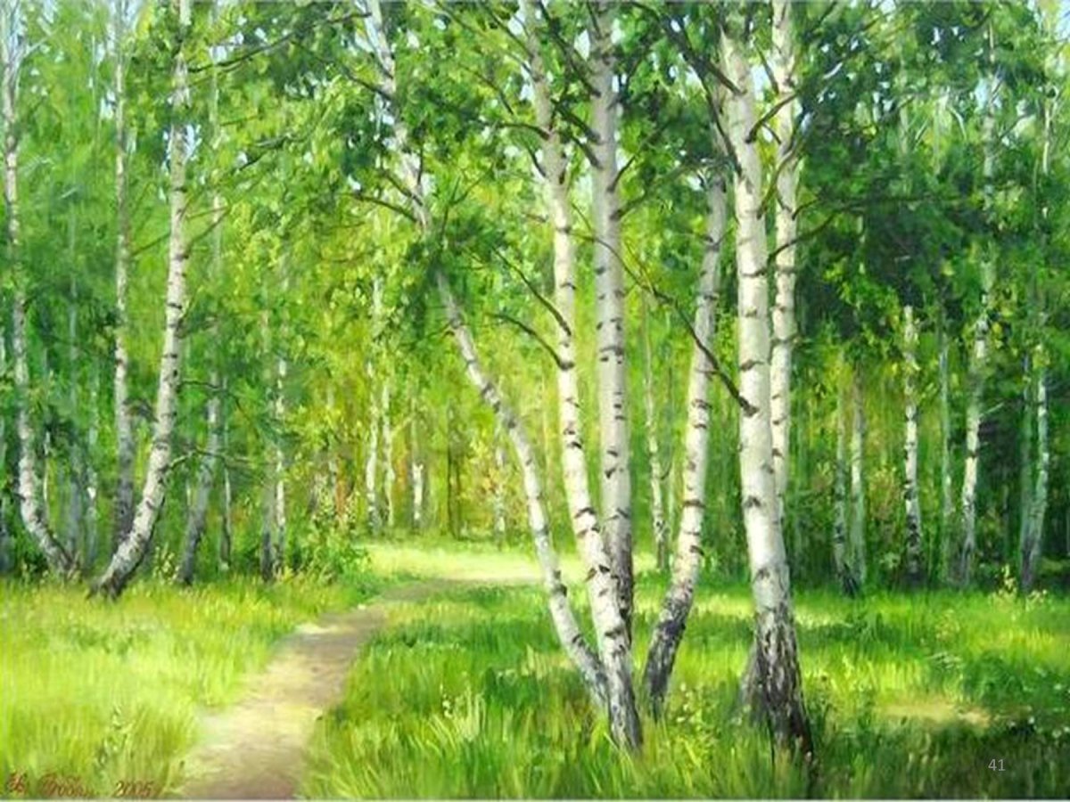 Берёзовая роща фотообом