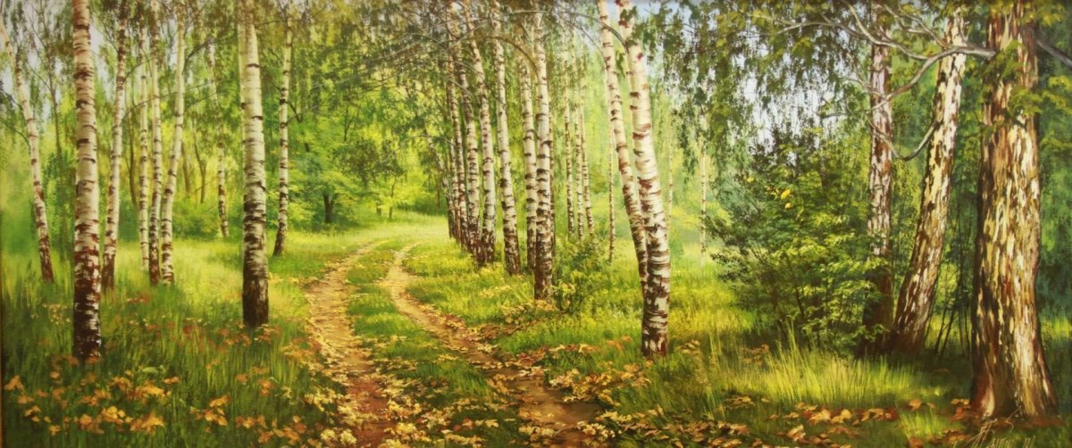 Берёзовый лес Ишимского района