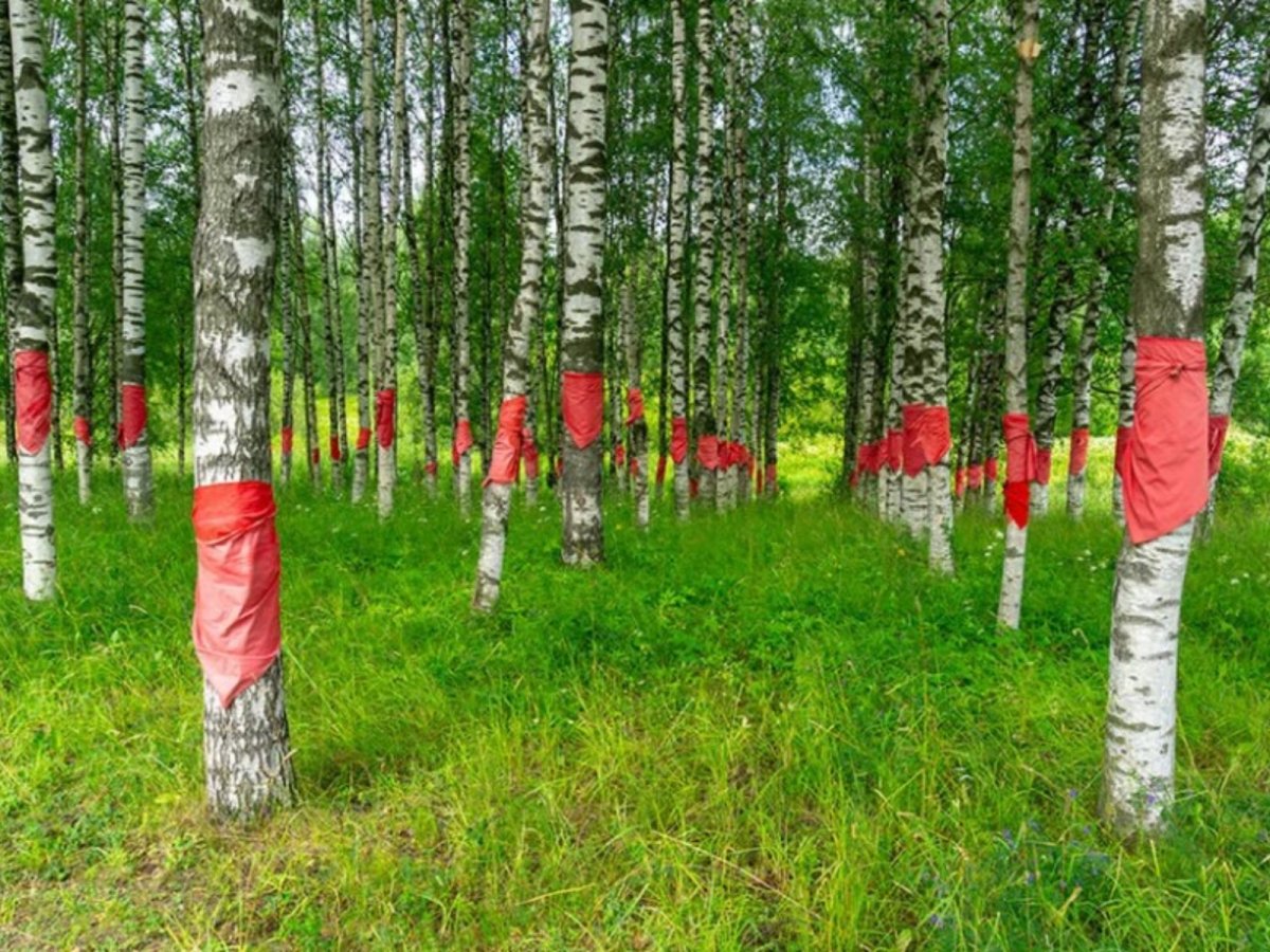 Деревенчук Березовая роща