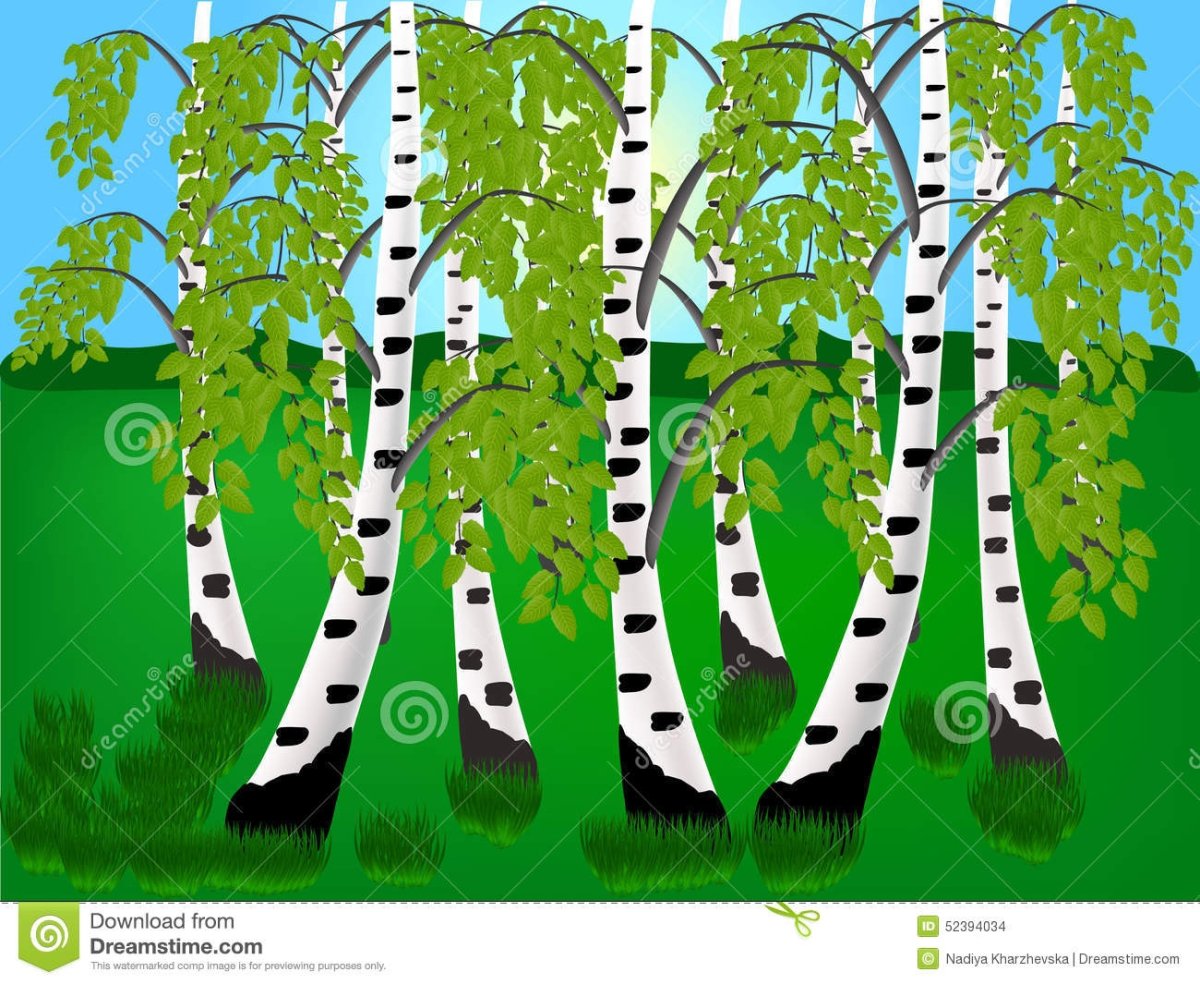 Березовая роща Казань Дербышки зимой