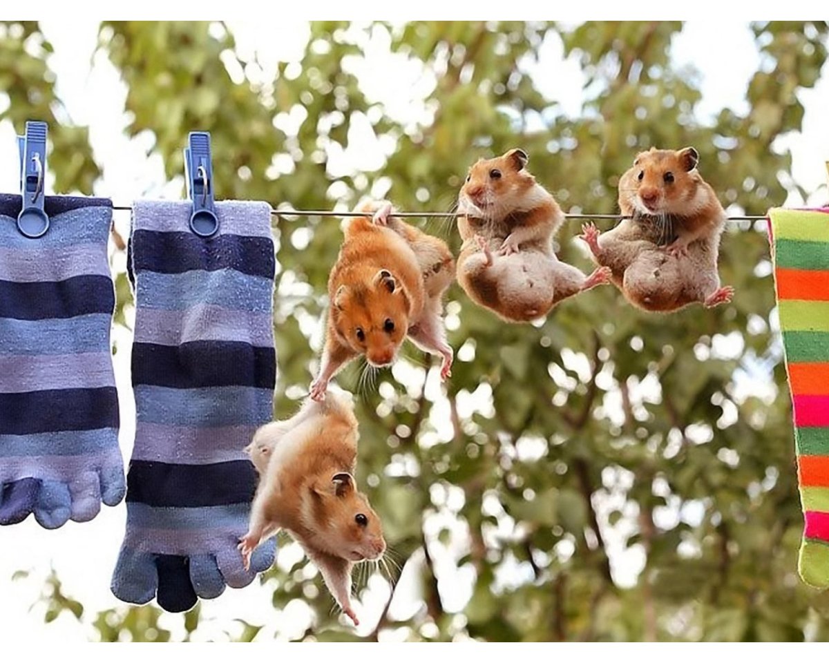 Поддержка человека в трудную минуту